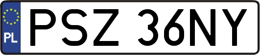 PSZ36NY