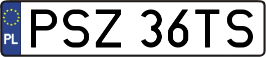 PSZ36TS