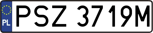 PSZ3719M