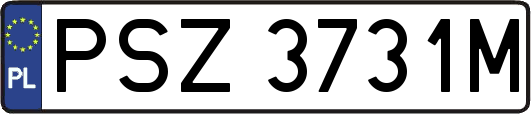 PSZ3731M