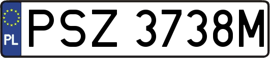 PSZ3738M