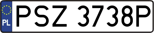 PSZ3738P