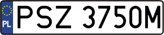 PSZ3750M