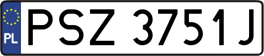 PSZ3751J