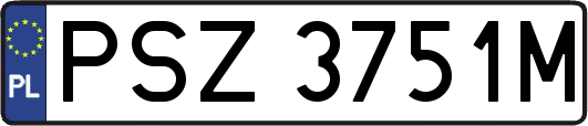 PSZ3751M