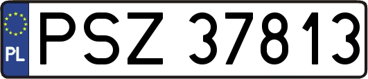 PSZ37813