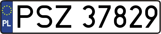 PSZ37829
