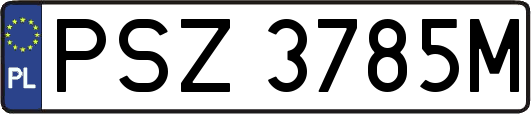 PSZ3785M