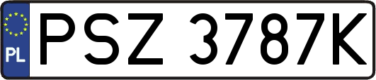 PSZ3787K