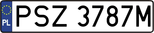 PSZ3787M