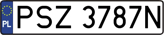 PSZ3787N