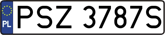 PSZ3787S