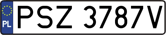 PSZ3787V