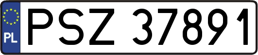 PSZ37891