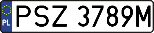 PSZ3789M