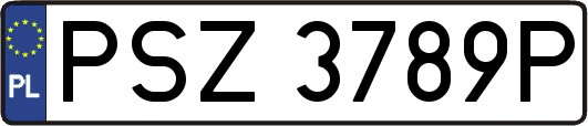 PSZ3789P