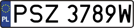 PSZ3789W