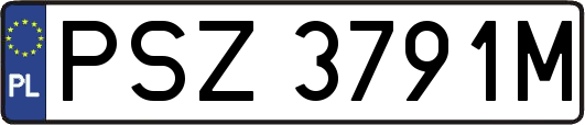 PSZ3791M