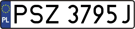 PSZ3795J