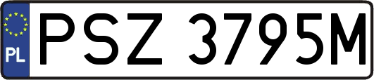 PSZ3795M