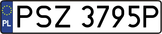 PSZ3795P