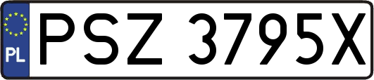 PSZ3795X