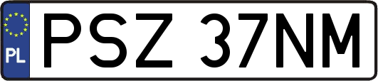 PSZ37NM