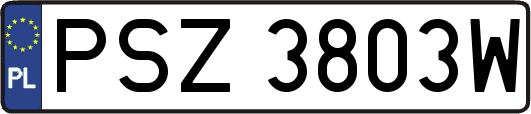 PSZ3803W