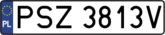 PSZ3813V