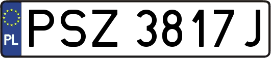 PSZ3817J
