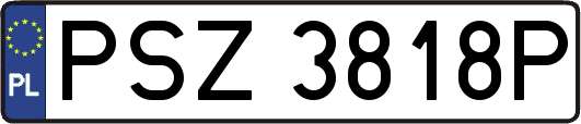 PSZ3818P