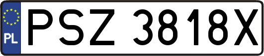 PSZ3818X