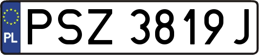 PSZ3819J