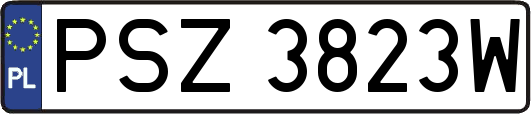 PSZ3823W