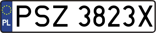 PSZ3823X