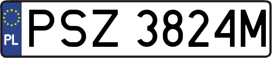 PSZ3824M