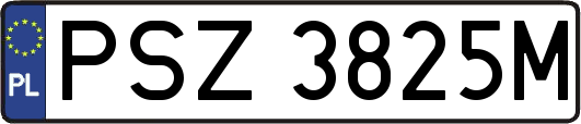 PSZ3825M