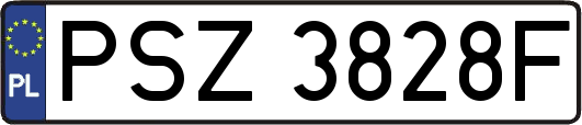 PSZ3828F