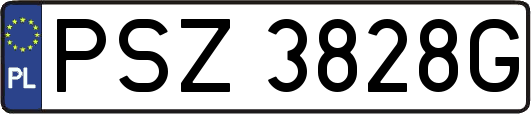 PSZ3828G