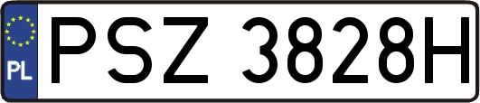 PSZ3828H