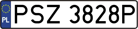PSZ3828P