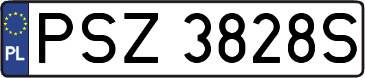 PSZ3828S