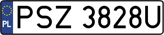 PSZ3828U