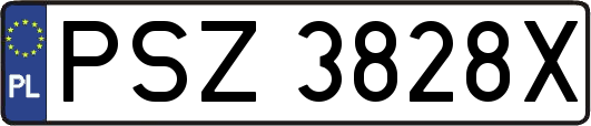 PSZ3828X