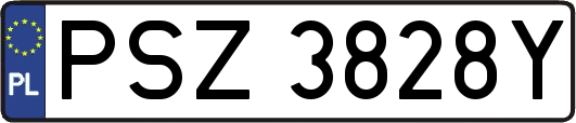 PSZ3828Y