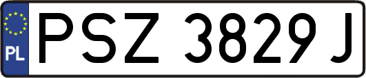 PSZ3829J