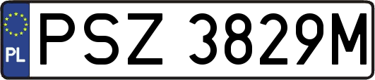 PSZ3829M