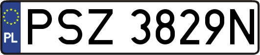 PSZ3829N