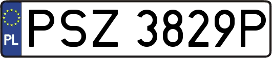 PSZ3829P