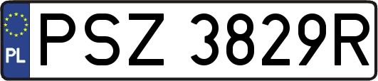 PSZ3829R